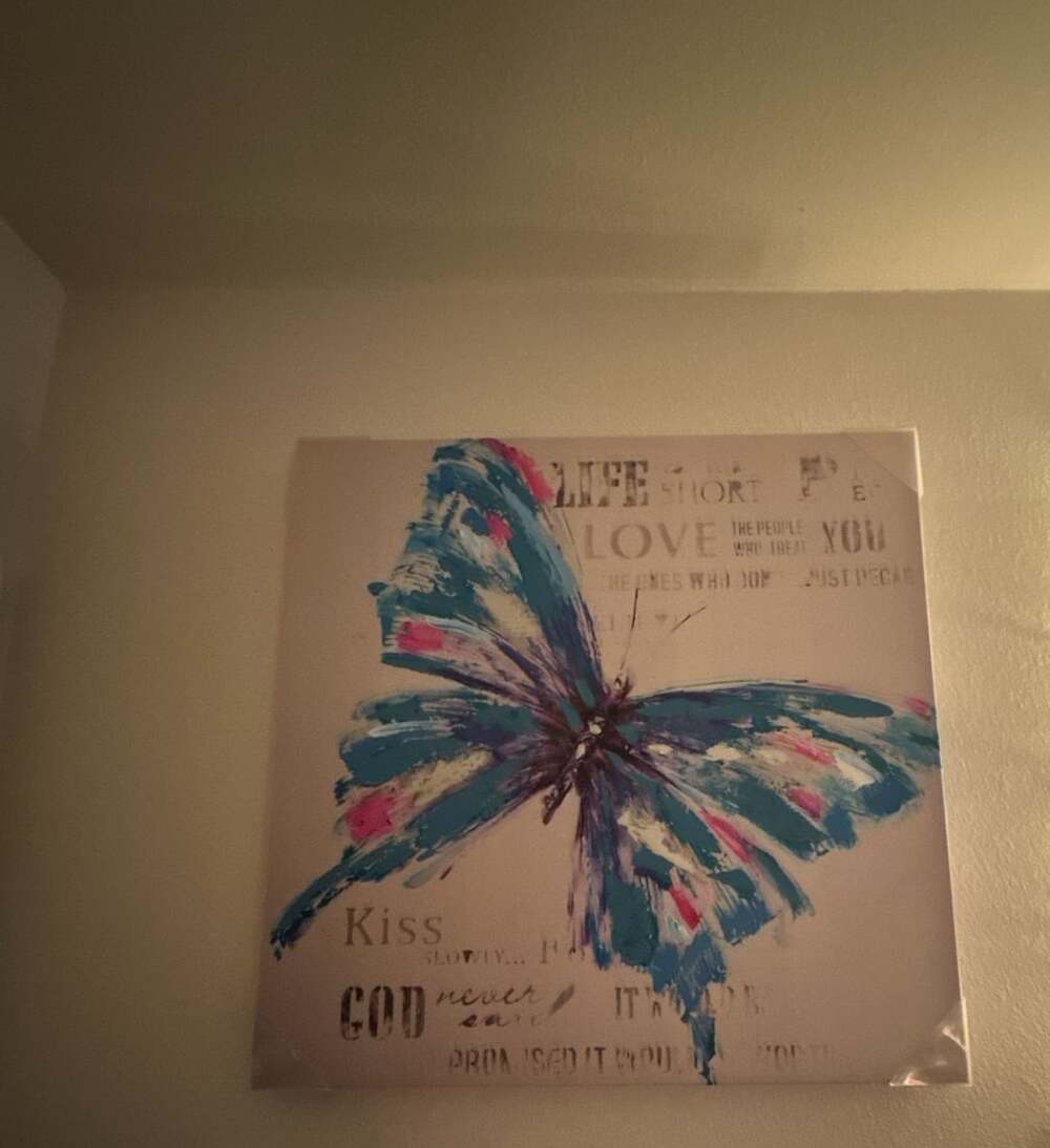 Canvas Wall Art Butterfly Painting Multicolored Print